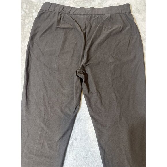 Eileen Fisher Pull On Pants 2 Pockets Brown Viscose Blend XL - Picture 12 of 14